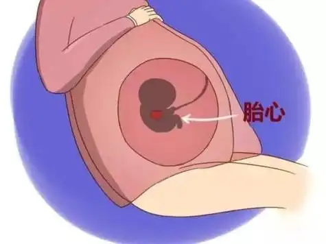 怀孕多久有胎心胎芽?长胎芽时孕妇有感觉吗?这10个感觉你一定有