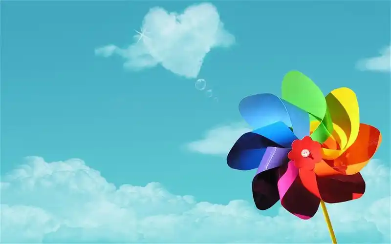 小清新静物高清电脑桌面壁纸