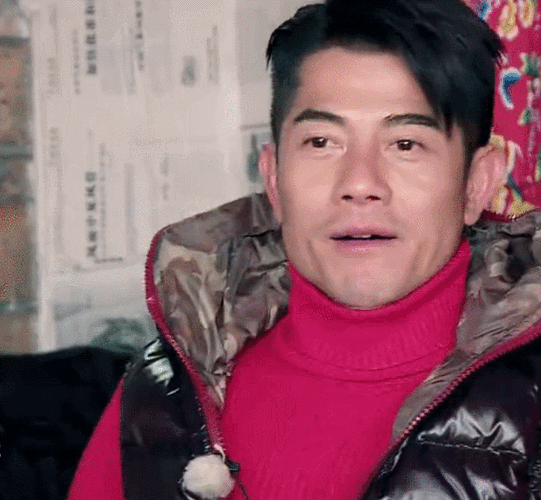 同意好开心我们十七岁综艺表情包郭富城gif动图_动态图_表情包下载