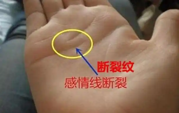 1感情线末端有均衡的三叉的,成为凤尾纹,代表主其爱情的表现是多