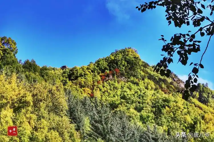 天高云淡,山林如画,大自然的美景总能令人心驰神往