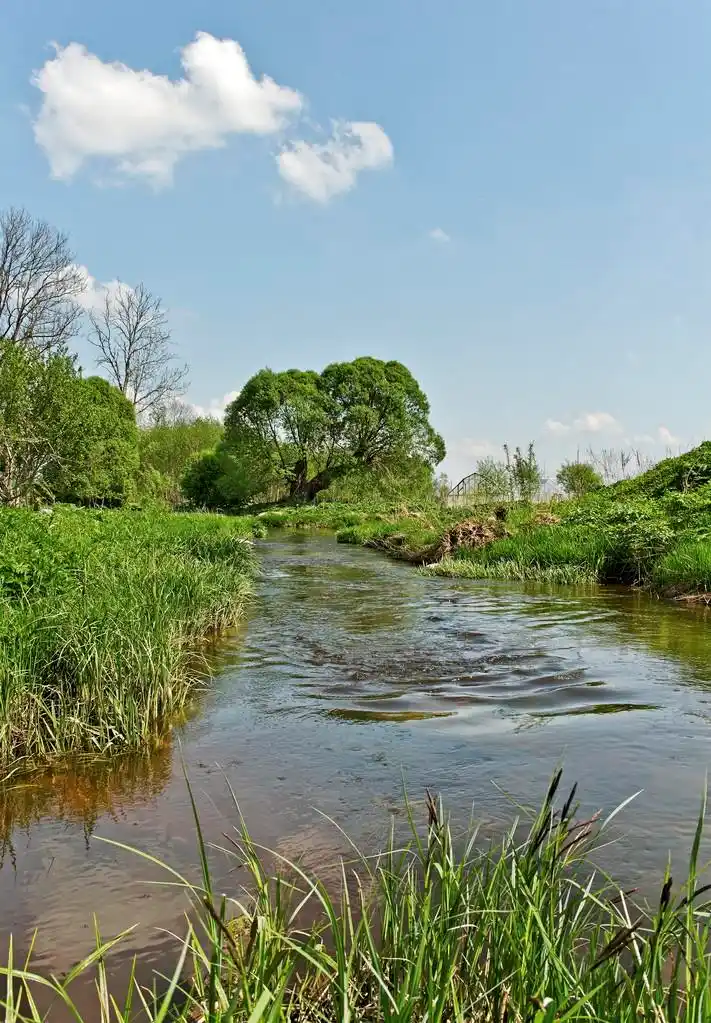 小河.,小河在春天的时间.