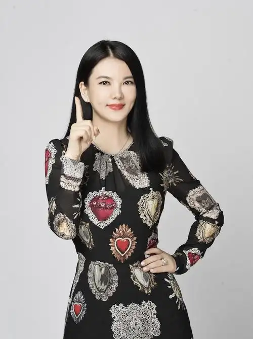 李湘个人资料简介(李湘二婚现状)插图