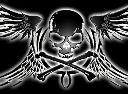 给战队找个骷髅头作为标志,不要下面那3,战队主要是fps游戏,骷髅头要