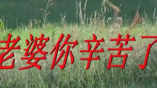 今天是3月8日妇女节送给老婆一首《老婆你辛苦了》她一定爱你