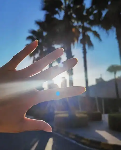 阳光透过手指唯美图片,阳光透过女孩手指唯美图片