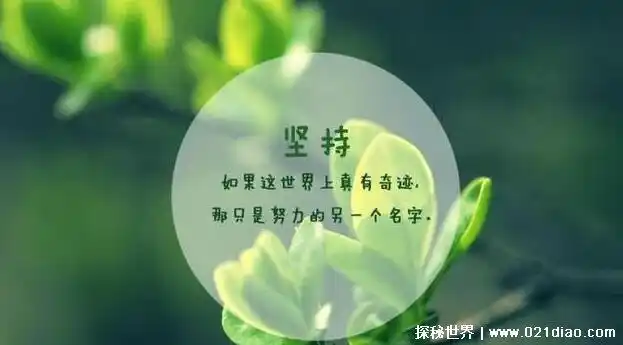 励志的话简短霸气超拽的正能量句子适合发朋友圈