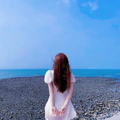 女生头像闺蜜头像海边女头三色堇儿/禁盗