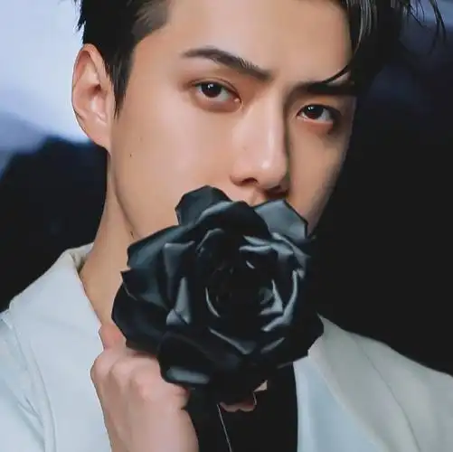 吴世勋dior全球品牌大使