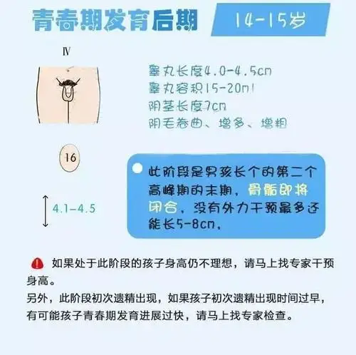 我的天孩子早发育一年身高少长7公分你家孩子发育正常吗