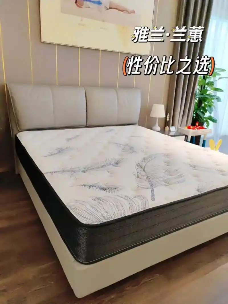 雅兰床垫——闭眼入的的一款兰蕙.