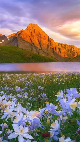 首页 自然与风景 湖