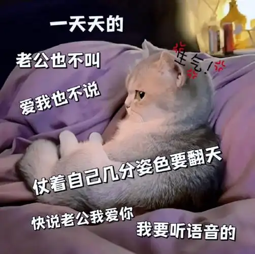 微信聊天表情包:又开始想臭男人了_熊猫头_身体_样子