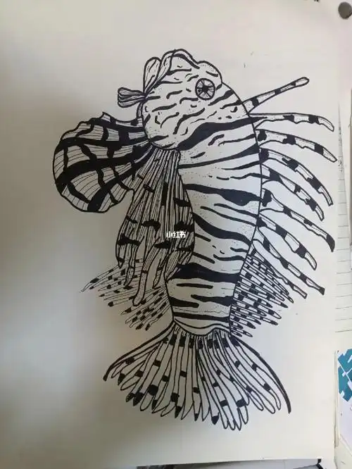狮子鱼线描绘画