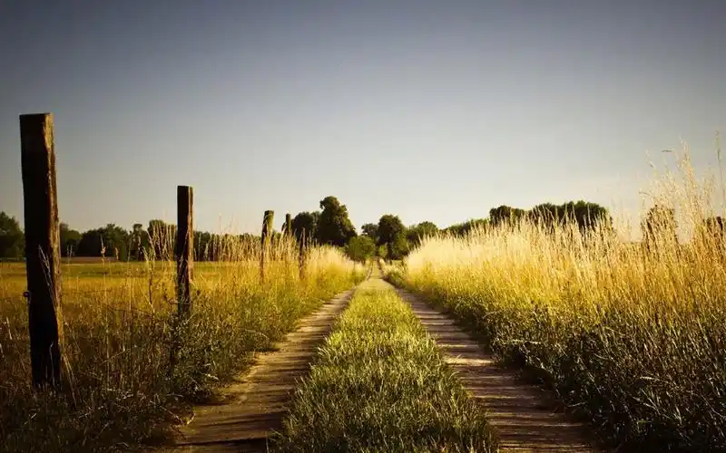 秋季唯美道路风景图片高清壁纸