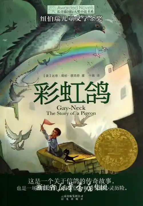 彩虹鸽的手抄报 爱的手抄报