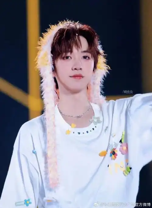 星愿生日企划##给贺峻霖许个星愿##贺峻霖缘故##贺峻霖 二十弈梦鸿鹄