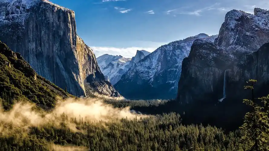 美国,加利福尼亚州优胜美地国家公园,山脉,森林,雾 壁纸