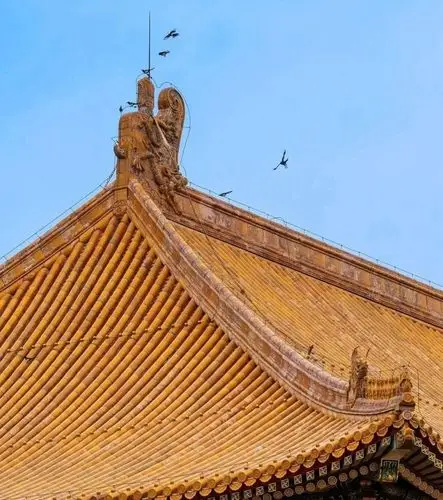 故宫屋顶不落鸟?这是真的吗?只是传言_腾讯新闻