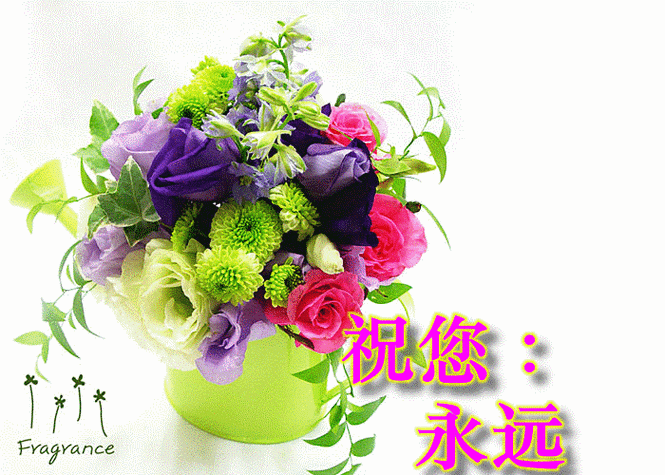 莫道醉人唯美酒,茶香入心亦醉人69查看全文上一页下一页