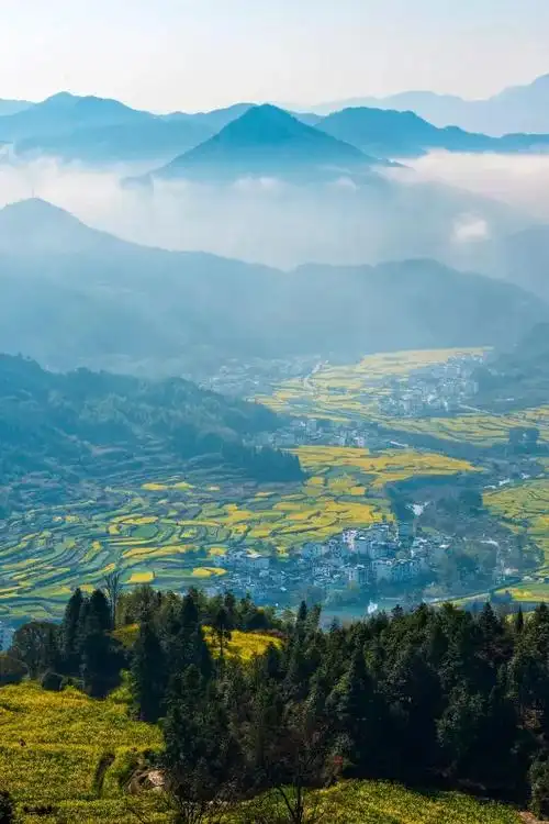 最美的风景图片大全鸟语花香人间仙境图片