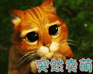 突然gif动图_动态图_表情包下载_soogif