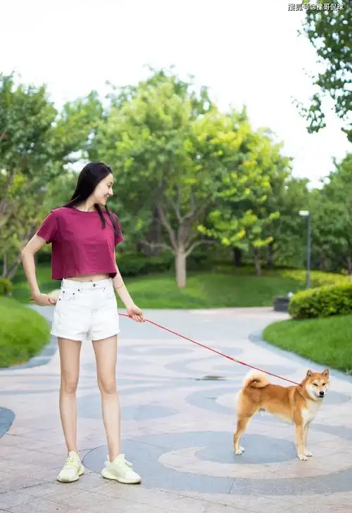 体操女神张豆豆因挺胸照走红!秀高难度一字马,拒进娱乐圈考北体