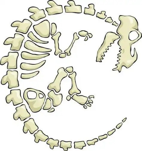 化石简笔画卡通