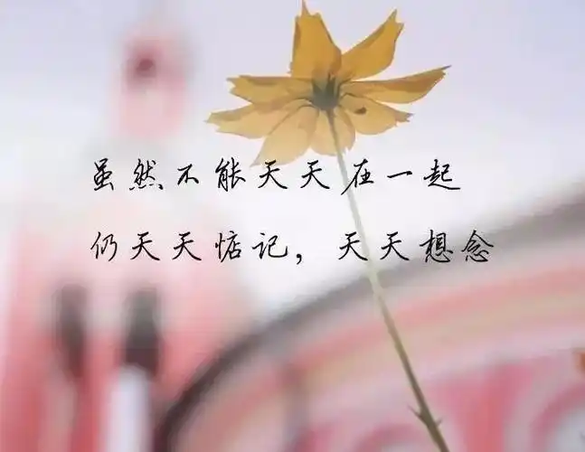 适合发朋友圈心情不好的简短句子配图