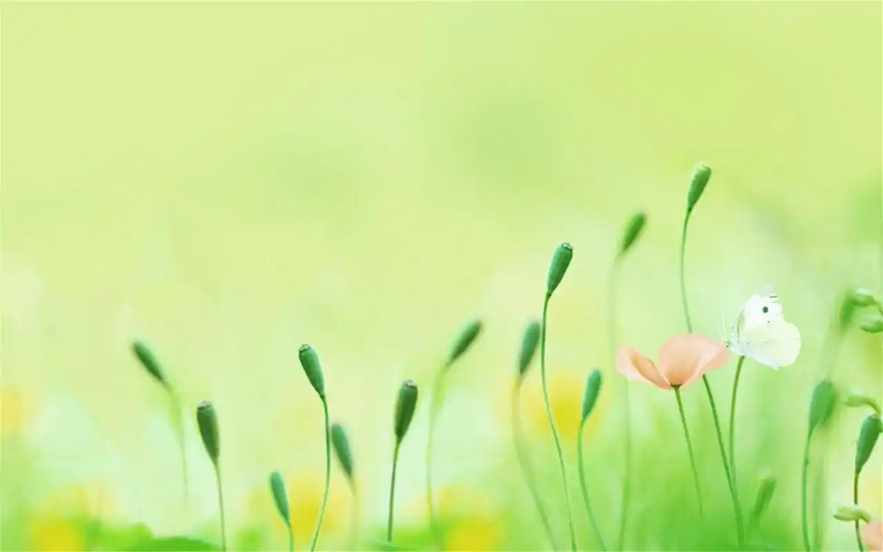 清新自然电脑桌面壁纸图片下载