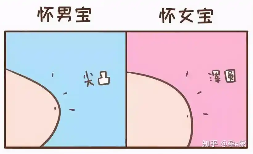 怀孕期间怎么看男女?只有这2个方法最准! - 知乎