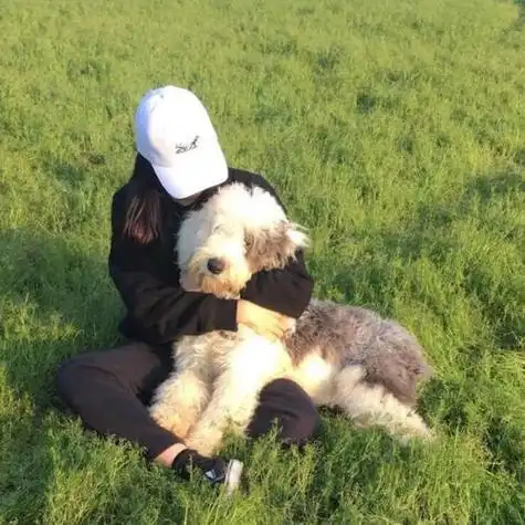 情侣遛狗头像图片可保存