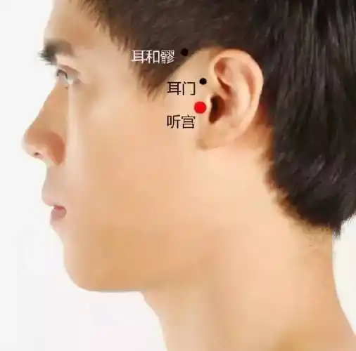 穴位41个精华穴位每天1分钟胜养一年赶紧收藏