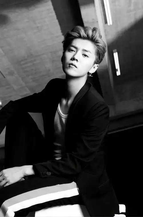 鹿晗图片 鹿晗酷帅代言写真图片
