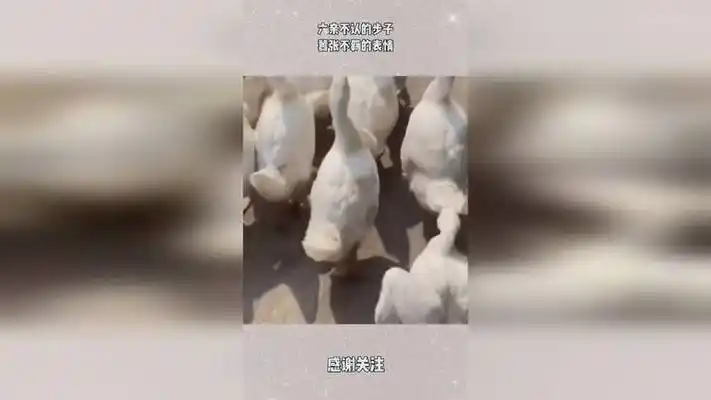 六亲不认的步子,嚣张不羁的表情