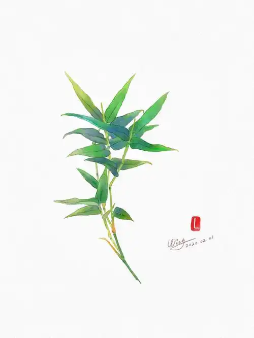 竹|插画|创作习作|winglee - 原创作品 - 站酷 (zcool)