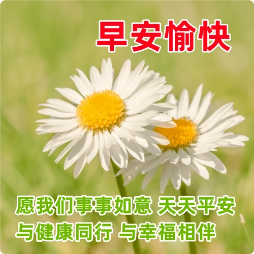 早上好唯美祝福表情图片精选,最新早上好祝福问候短信_生活_友谊_心情