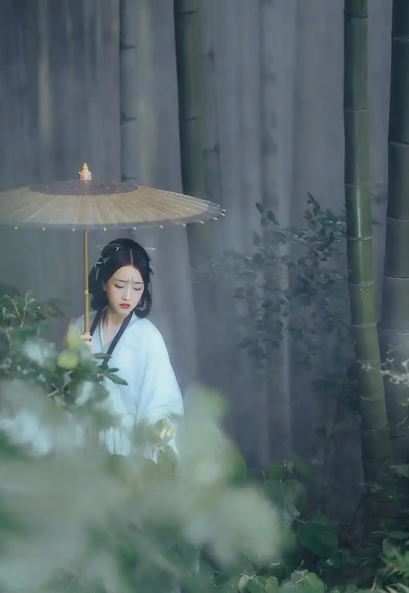 汉服古风:路过竹林时,在那片灰蓝色的雾气里,我遇见了她