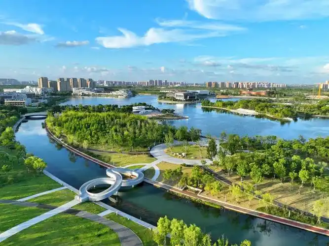 上海之鱼跃绿海奉贤新城奏响水绿交融江南韵