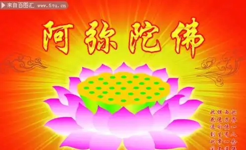 莲花在佛教中的涵义