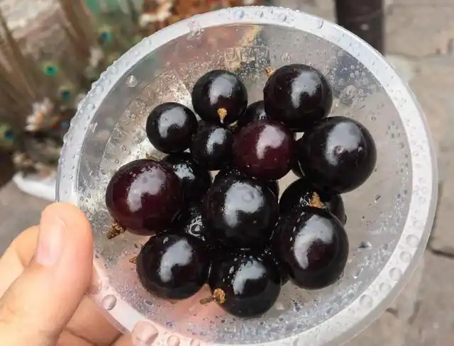 大叔甩卖"黑色"水果,20元一斤,路人嫌贵,顾客:就怕卖完了!