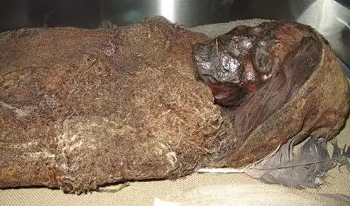 罗布泊发现大量干尸,经鉴定大多是外国人,和山海经记载高度吻合