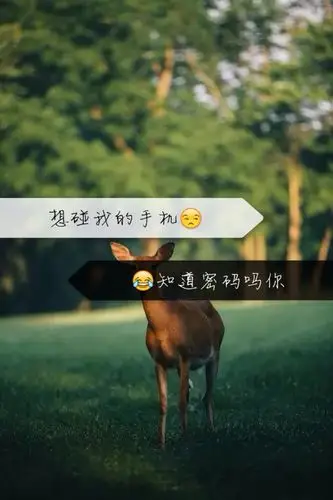 壁纸 文字 锁屏