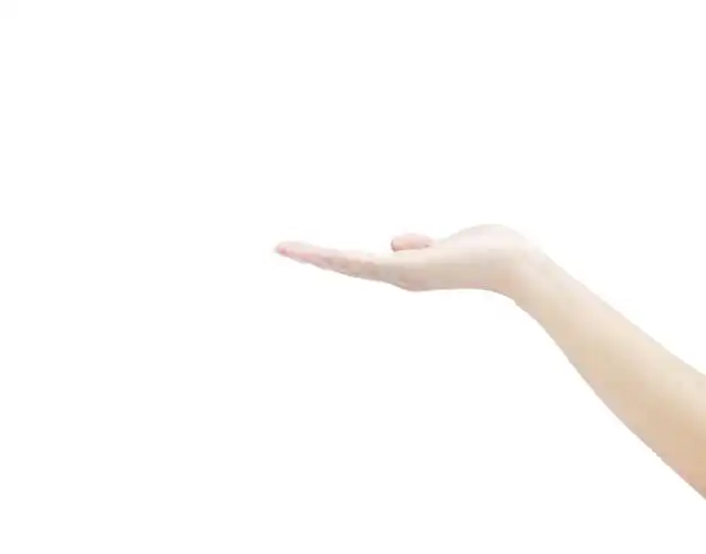 白底手势人物手势请的手势引路手势伸直手掌