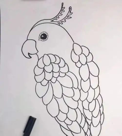 【推荐】画画入门初学技巧自学|新手画画自学入门教程!