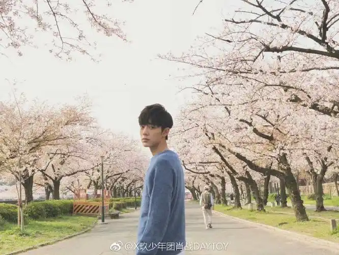 03肖战微博分享  "看见你们都在催我发照片.但是.但是我.