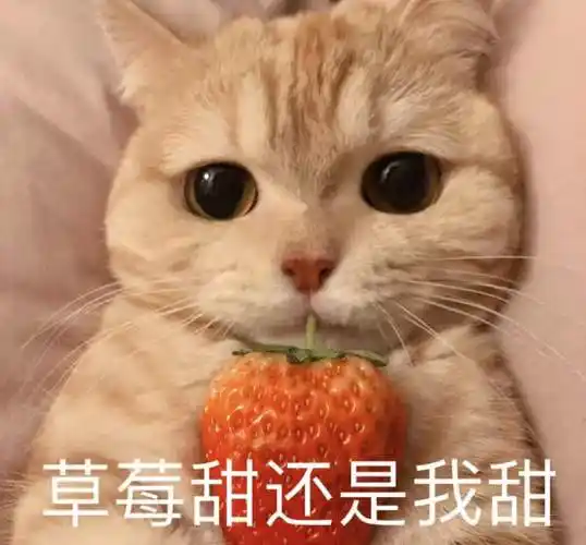 向男人撒娇的表情图片,女人向男人撒娇表情图-528时尚网