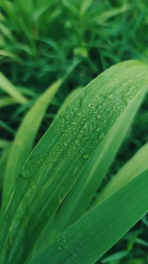 675_1200竖版 竖屏