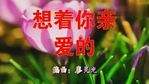 听醉了!一曲《想着你亲爱的》令人陶醉忍不住循环棒极了