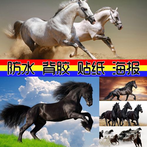 海报贴画动物马 壁纸大幅背景墙壁贴图片骏马奔跑图照片写真画
